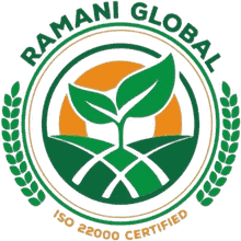 Ramani Global logo