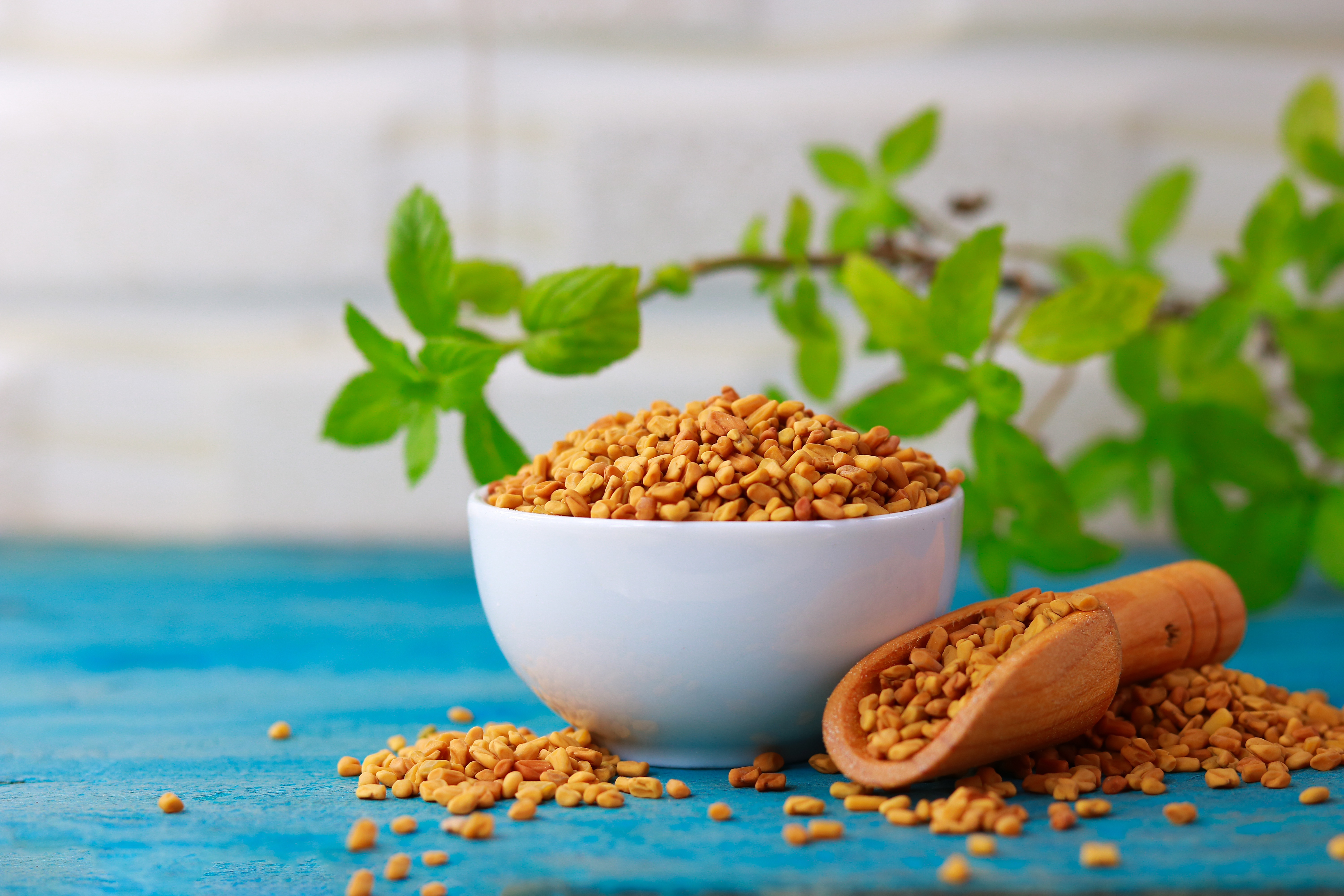 Fenugreek Seeds exporter in India — Ramani Global